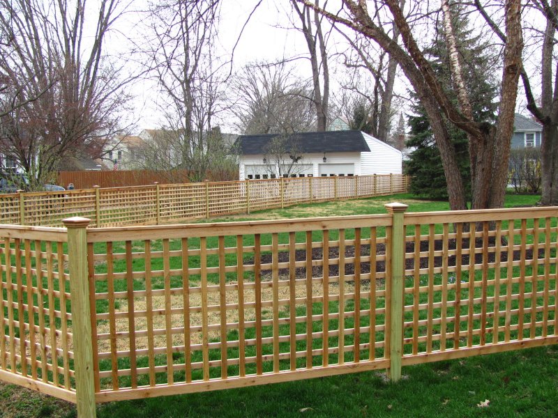Cedar framed lattice fence in backyard